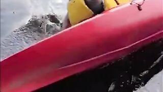 #funny