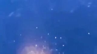 Tidak Boleh Berenang Di laut Lepas