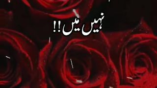 Urdu love poetry|| heart touching poetry urdu deep lines