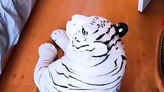 Funny clip latest funny upload 2024