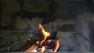 Building a New Greenhouse and Cooking Stuffed Onions.