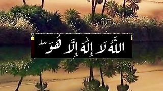 القران_الكريم