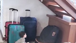 cat catching towel