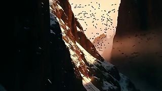 القران_الكريم