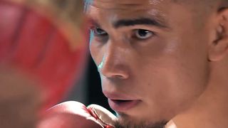 Angry boxer