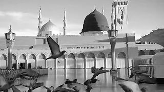 video ???????????? Ramadan Kareem spacial