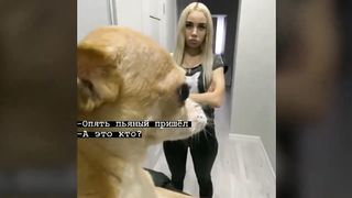 Макака.