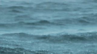 ايات بينات من الذكر الحكيم راحة و طمأنينة