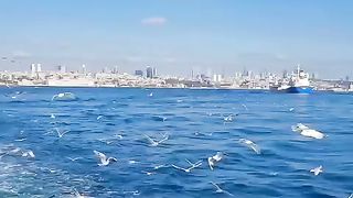 Istanbul Trip Continue ...