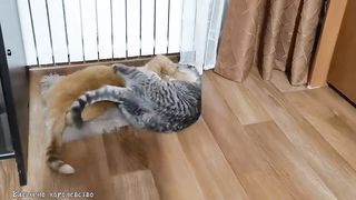 - Пороть тебя надо, Тимоха, а некому