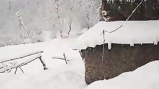 Белый снег