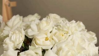 Mesmerizing Blooms: A Symphony of Nature's Beauty