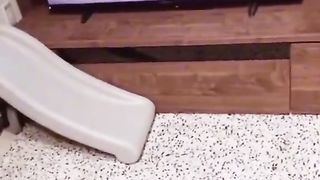 Funny video