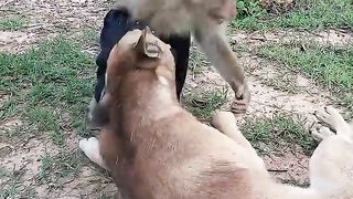 Amazing Video Best SokYaa,OG, Pao & Mom Are Famous Around The World #shorts