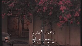لا تشوف شصار بيا