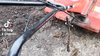 Cultivator