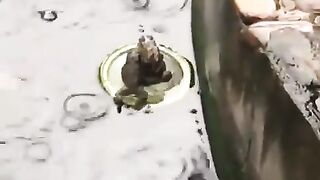 Get off my boat..????????