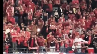شيكابالا يستفز جمهور النادي الاهلي