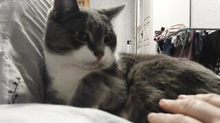 Сидят на мне 6кг, еще и огрызаются!