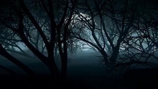 Moonlit Haunt: Exploring the Enigmatic Dark Forest on Halloween Night