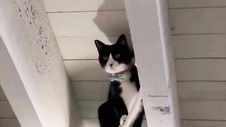 Mission Impossible.. ????