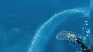 غرائب وعجائب البحار  ‏The strange and wonders of the sea