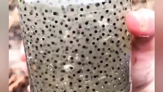 غرائب وعجائب البحار  ‏The strange and wonders of the sea