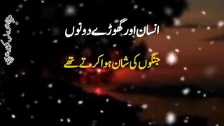 Insan aur ghory