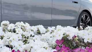 El brini voiture