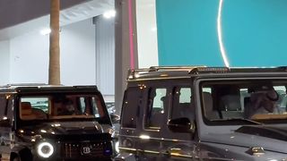 Mercedes barbus