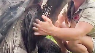 This is a Galapagos tortoise. The oldest Galapagos tortoise was 190 years old!????