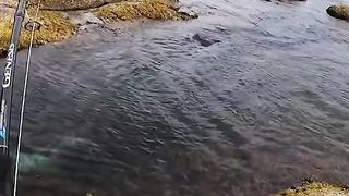 Sight Casting Big Fish