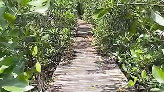 Our nature