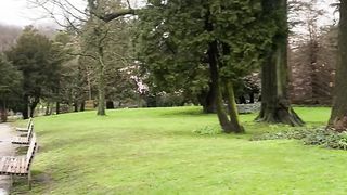 "Echoes of Eden: Revelations in Nature's Harmony"