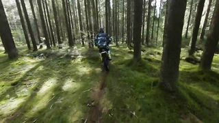 Drifting across the forest