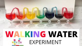 Walking Water Experiment (Rainbow Walking Water)