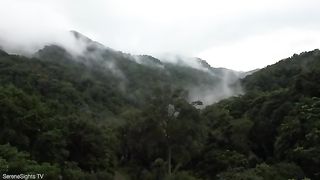 Nature nature
