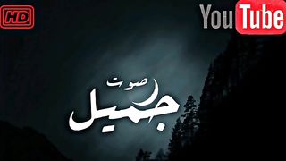 قرأن كريم