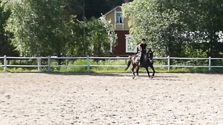 Escamillo