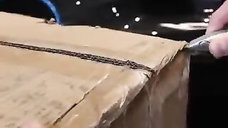 Unboxing_my_new_BUGATTI!_@bugatti__#ASMR_#BUGATTI_#unboxing_@TheTripleFCollection
