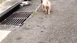 #funny