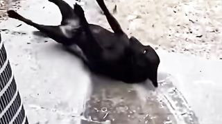 #funny