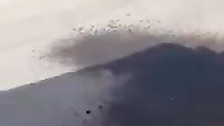 البقرة العصبية