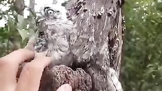 #funny