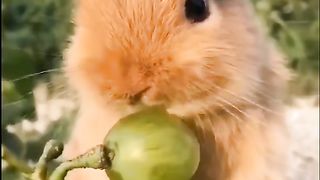 #funny