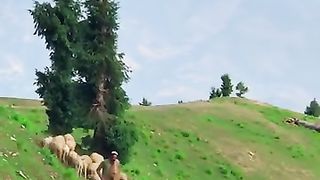 Zamung kaly