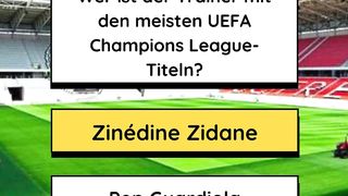 Der Trainer