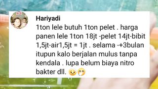 Ikan lele TUMBUH BESAR dengan pakan, ada pakan PABRIKAN, ada pakan ALTERNATIF, pilih mana❓