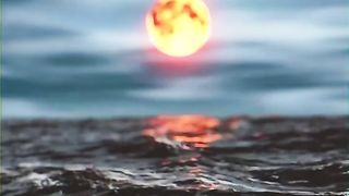Sea night