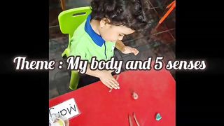My body and 5 senses
